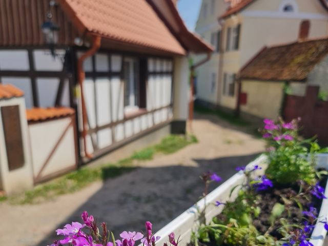Групповая экскурсия из Калининграда: Правдинск и Железнодорожный — фото 3