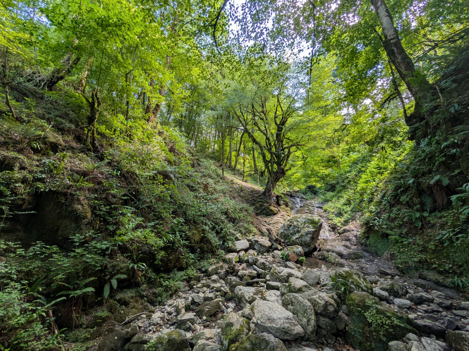 Купальни