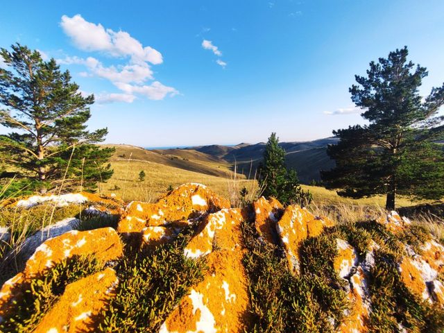 Индивидуальная экскурсия из Иркутска на Байкал. Бухты Малого моря — фото 3