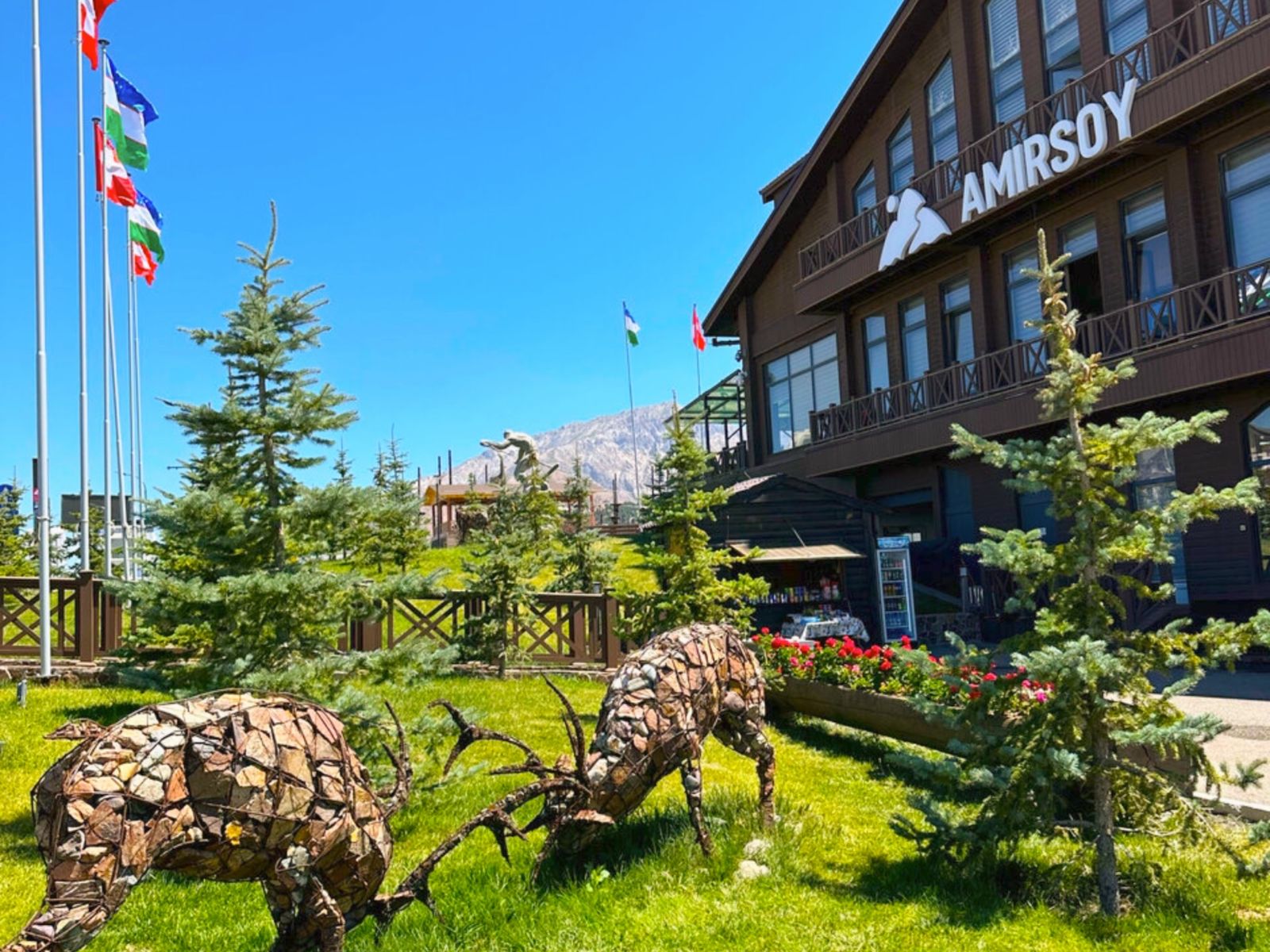 Амирсой