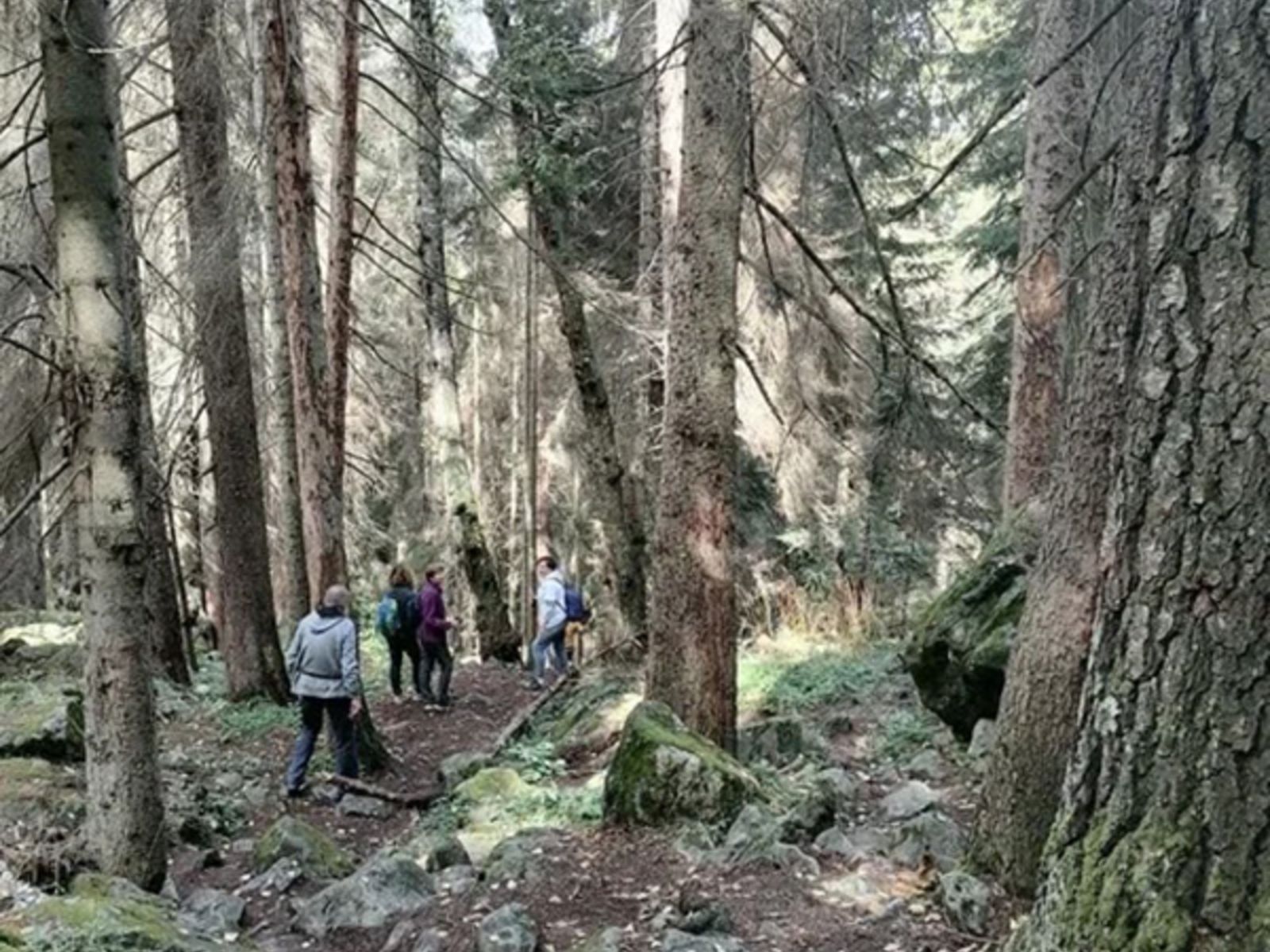 Туристы