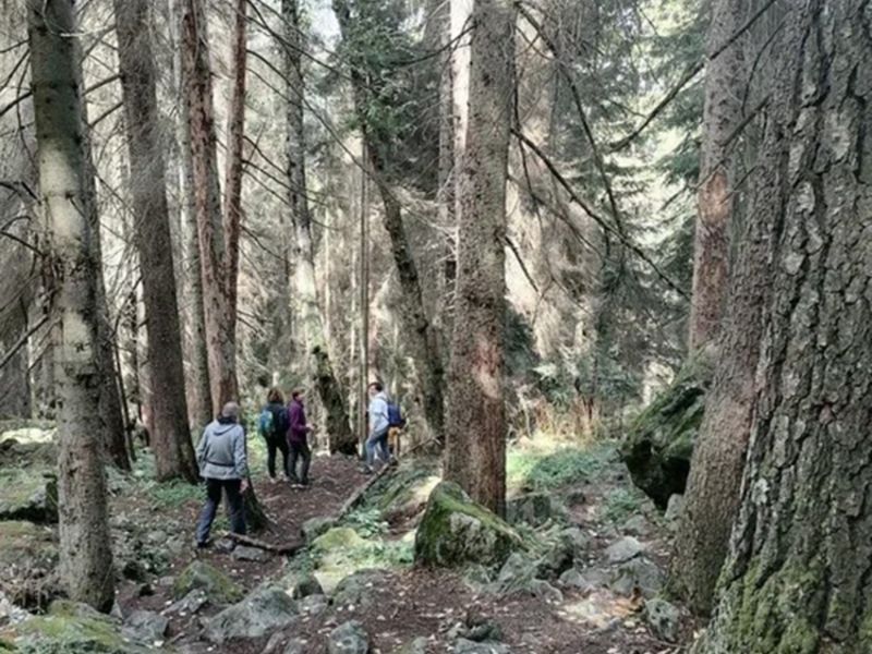 Туристы