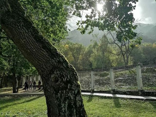 Групповая обзорная экскурсия из Пятигорска по Теберде — фото 3