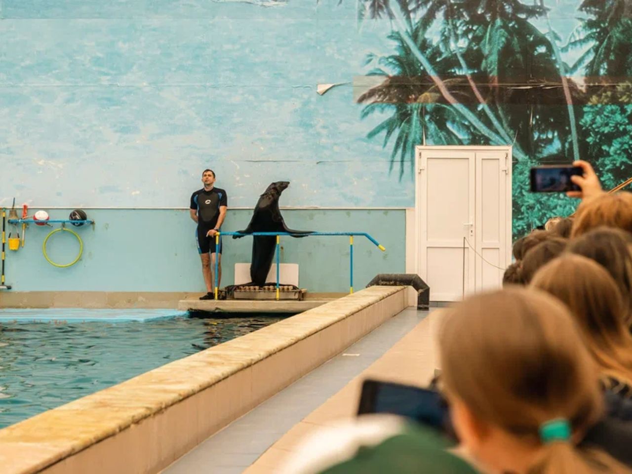 Групповая поездка из Пятигорска в дельфинарий в Кисловодске - групповая экскурсия в Пятигорске на автобусе длительностью 5 часов с количеством участников более 20 человек цена экскурсии 1600₽