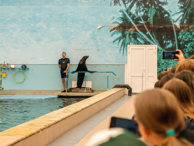 Групповая поездка из Пятигорска в дельфинарий в Кисловодске