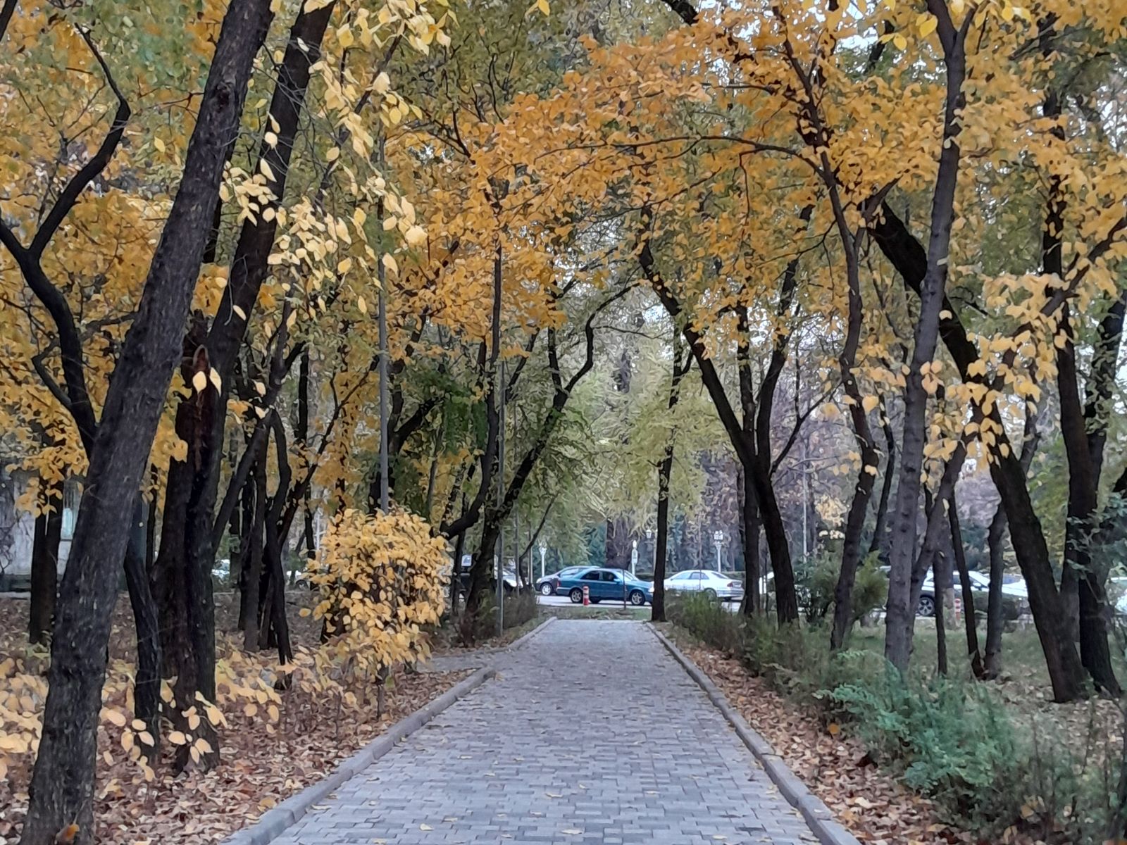 Аллея