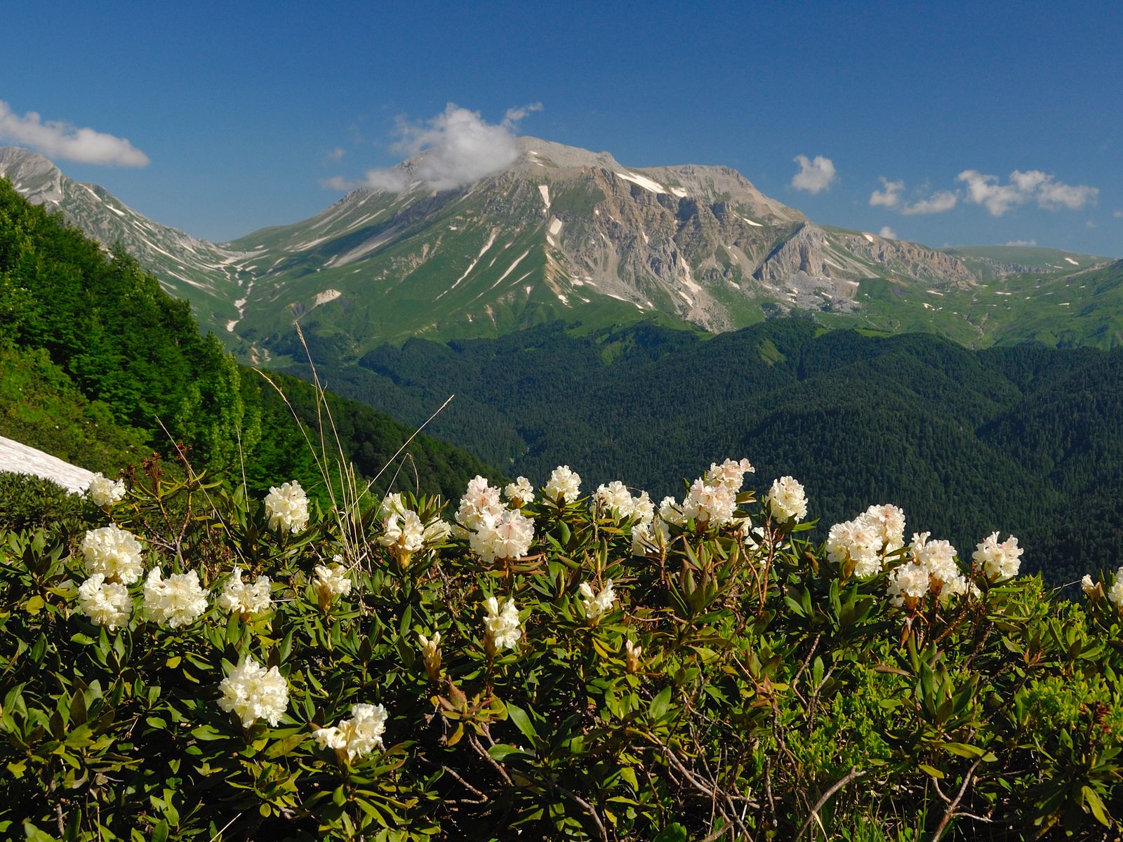 Плато Лаго-Наки