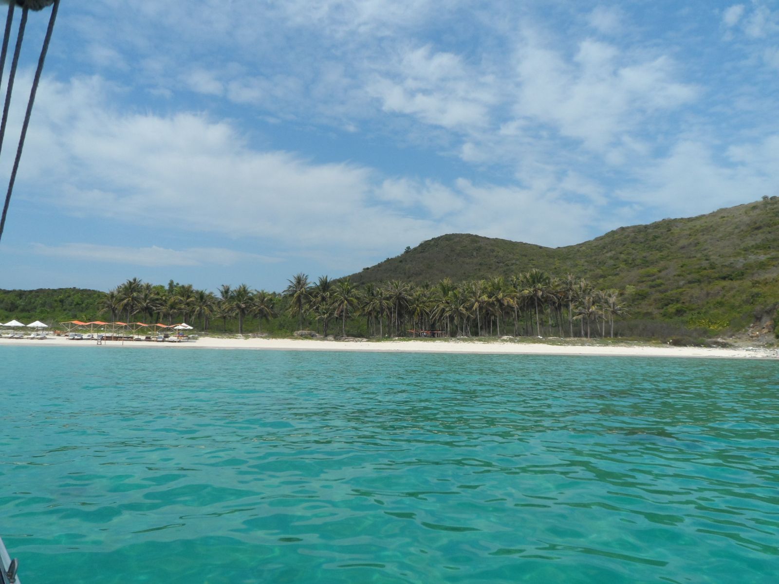 Остров с кокосовыми пальмами