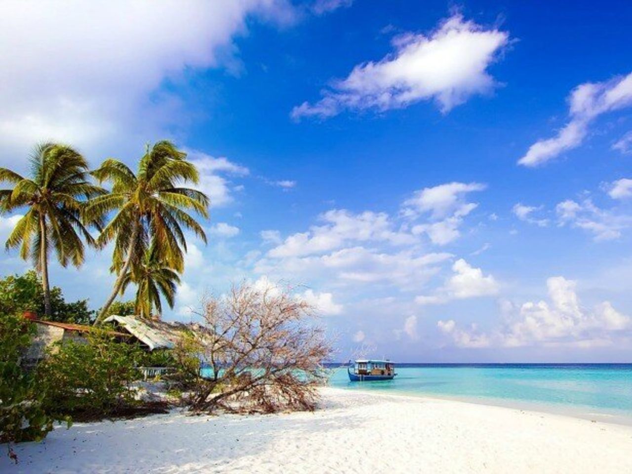 Обзорная морская прогулка в Нячанге с рыбалкой и снорклингом - индивидуальная экскурсия в Нячанге длительностью 7 часов с количеством участников до 2 человек цена экскурсии 380$