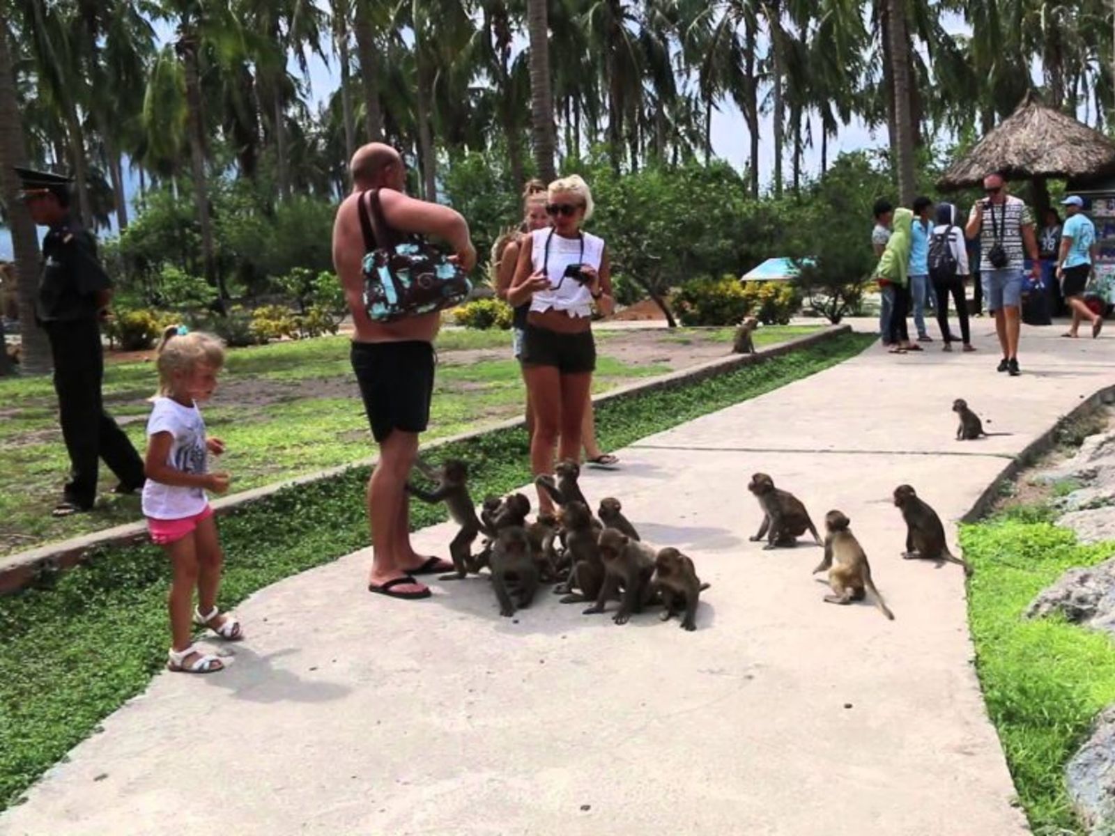 На острове обезьян