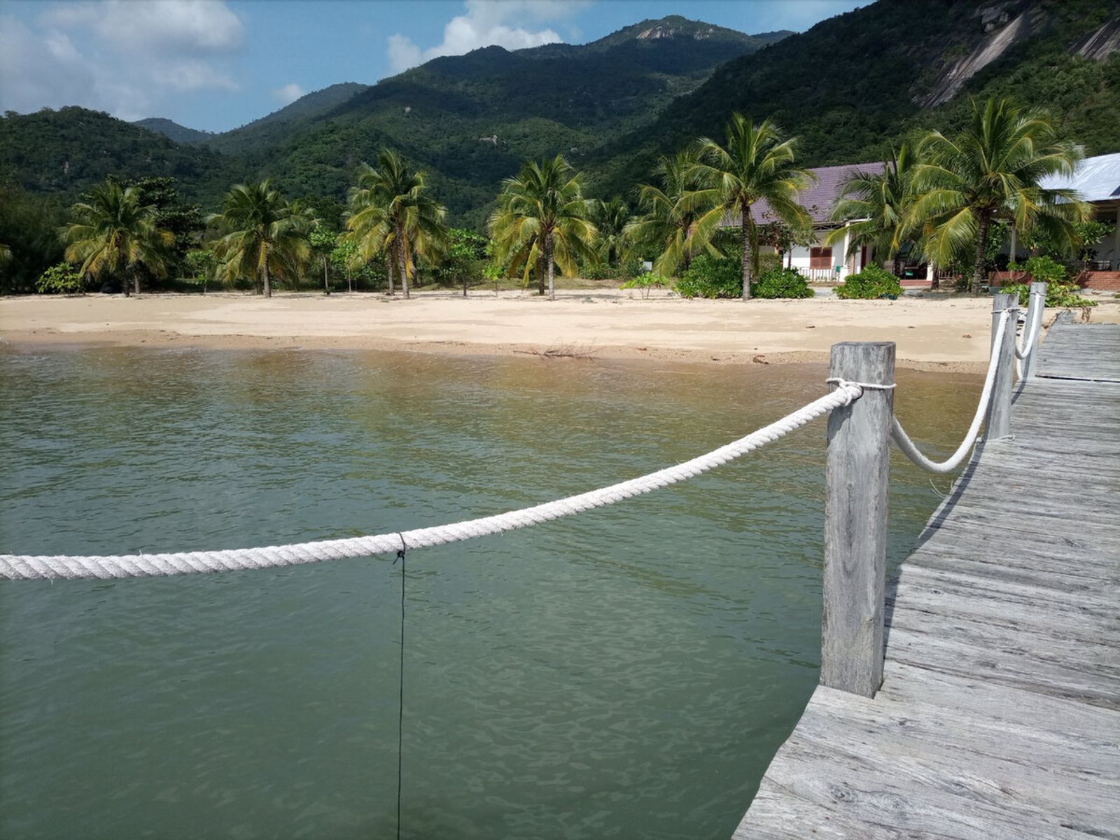 Остров орхидей