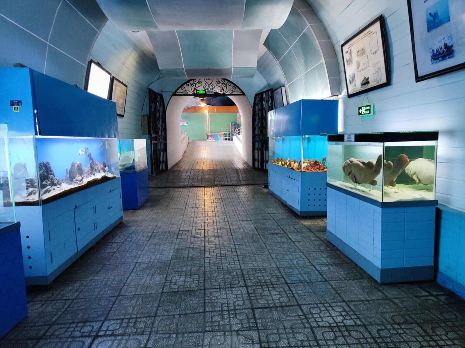 Институт океанографии