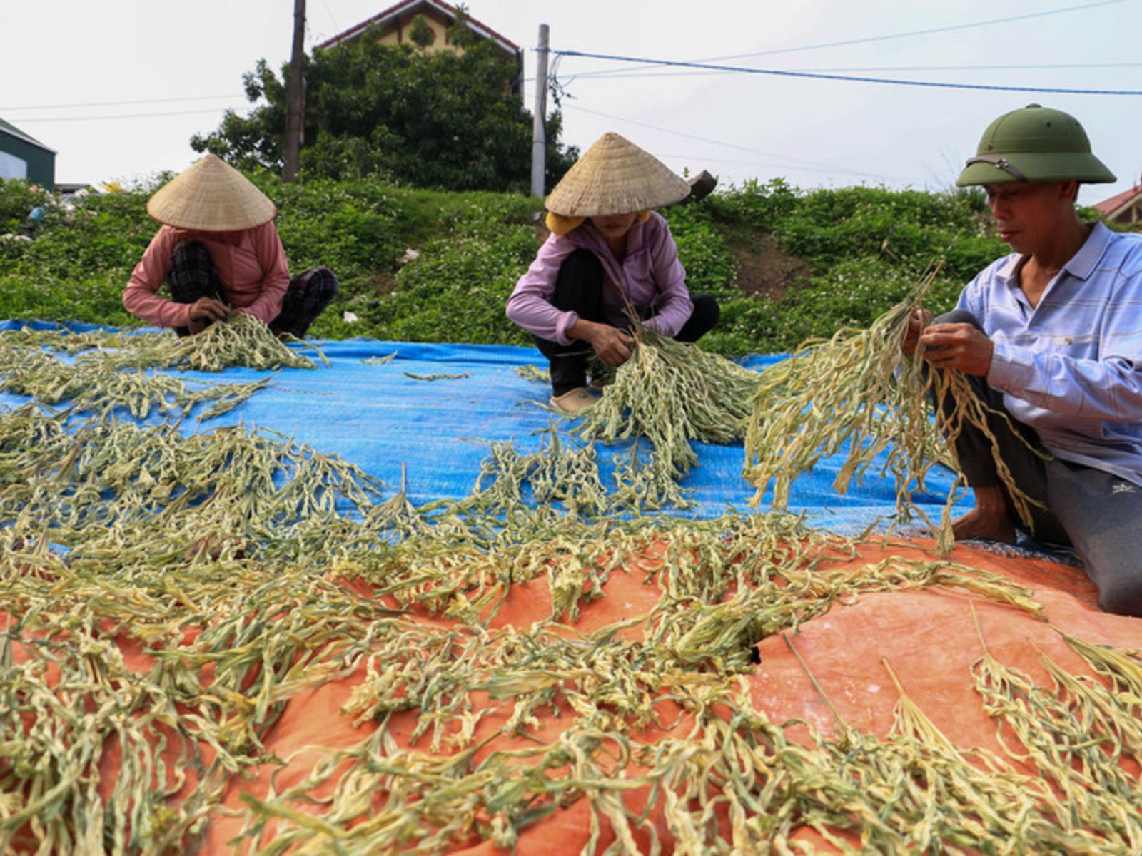 Деревня шляп