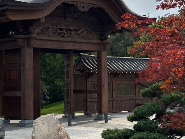 Индивидуальная экскурсия в Японский сад в Краснодаре — фото 3