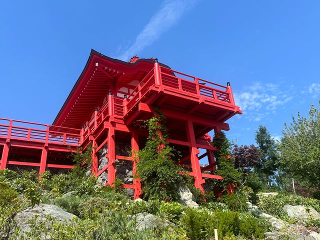 Индивидуальная экскурсия в Японский сад в Краснодаре