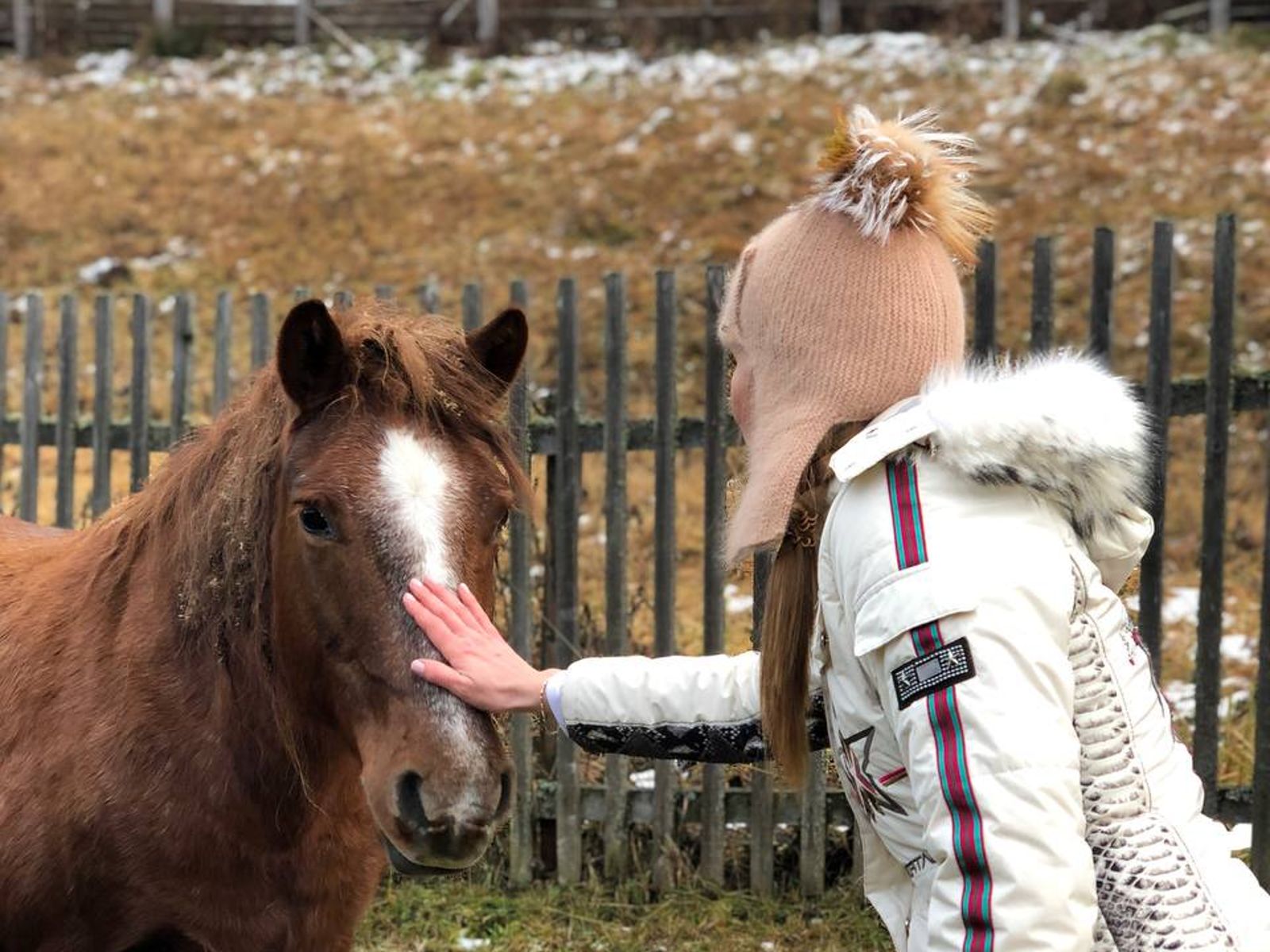 Лошадь