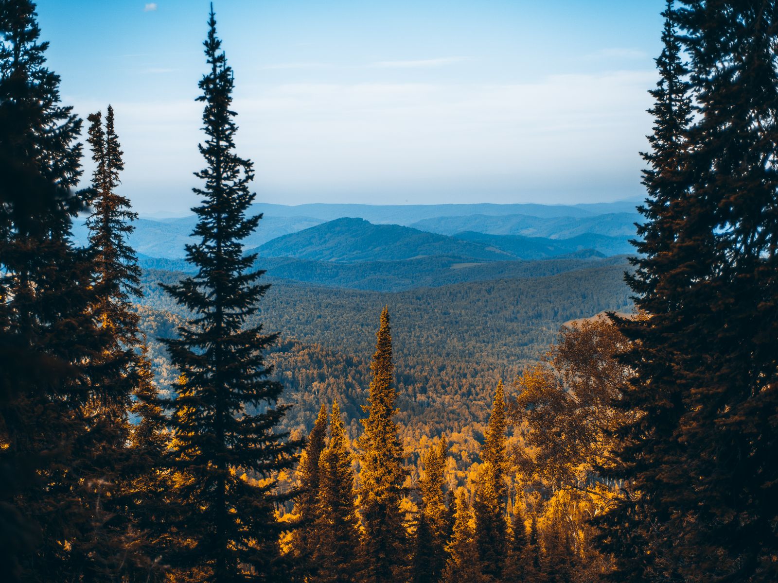 Пейзаж