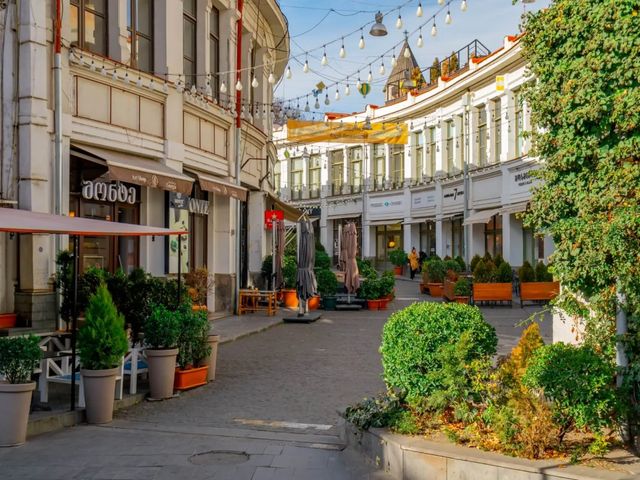 1-дневная индивидуальная экскурсия из Еревана в Тбилиси — фото 2