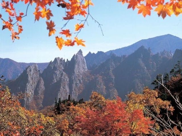 Обзорная экскурсия из Сеула в парк Сораксан и к Восточному морю — фото 2