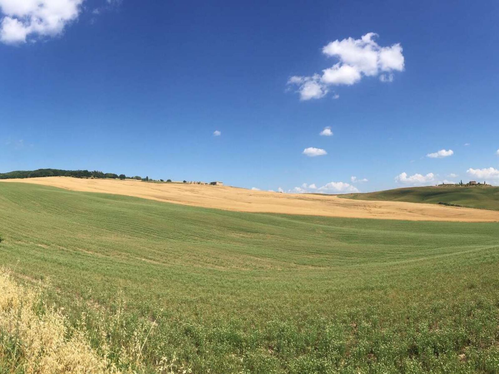 Панорама