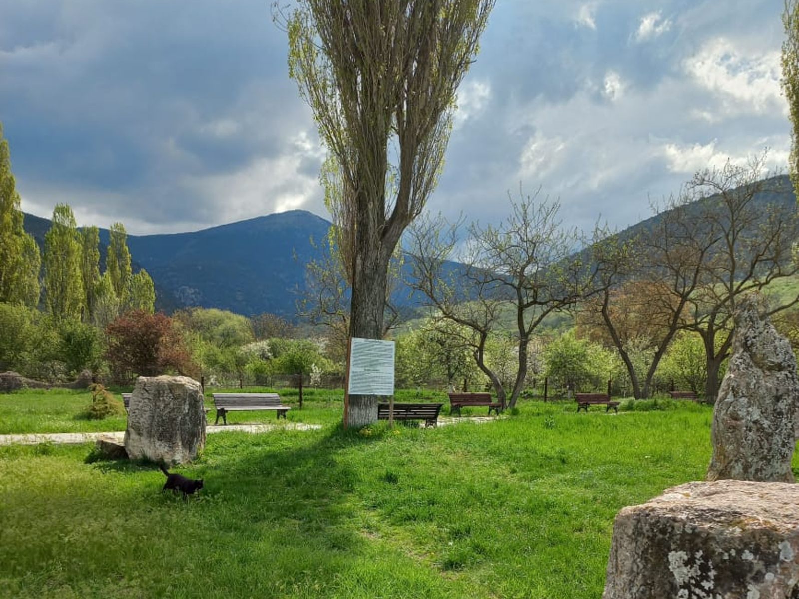 Менгиры