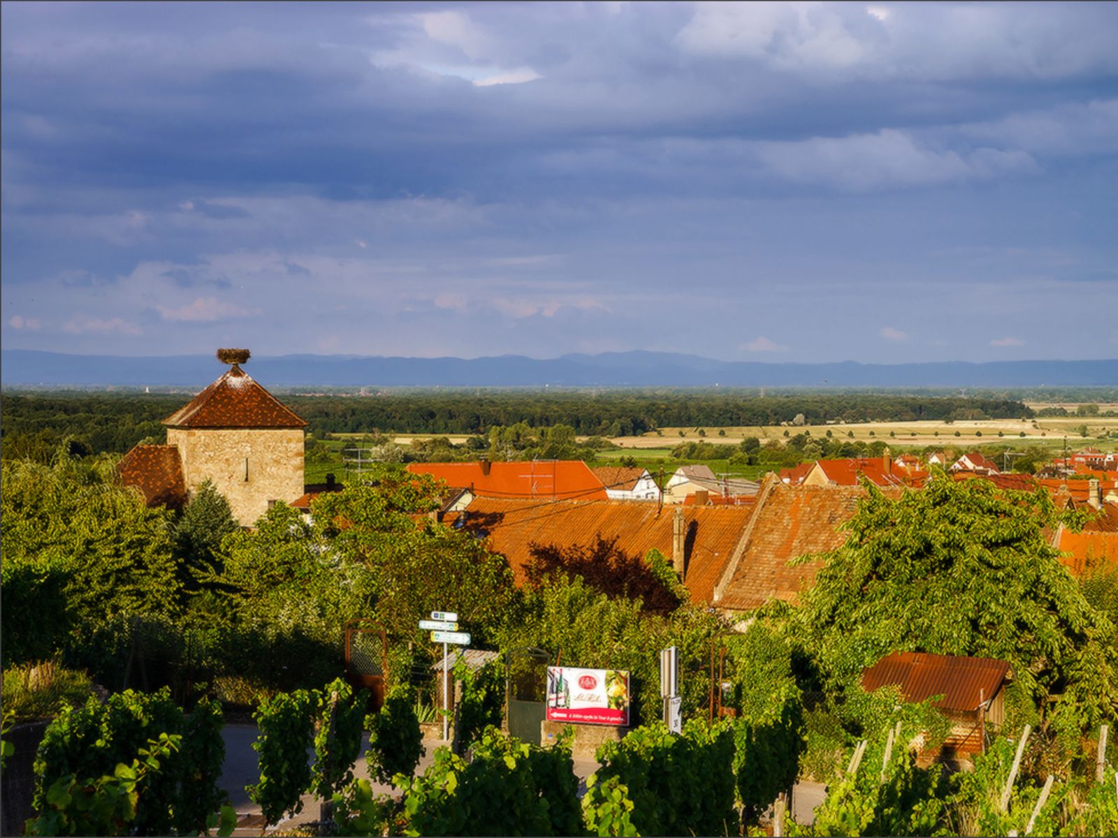 Крыши и панорамы