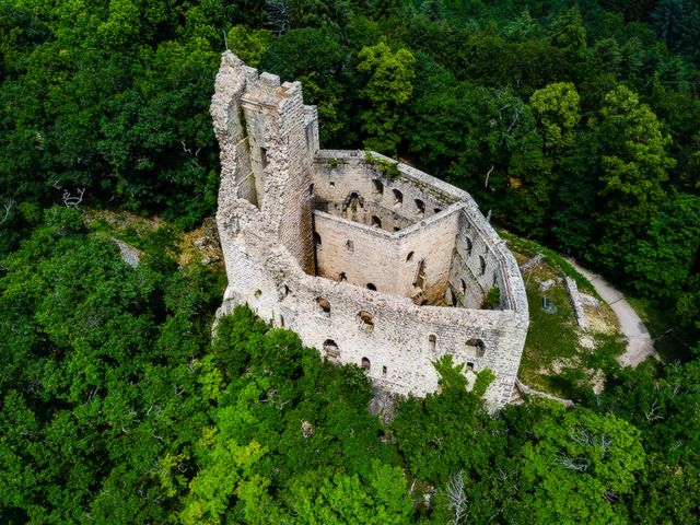 Обзорная экскурсия из Страсбурга по "Винной дороге Эльзаса" — фото 3