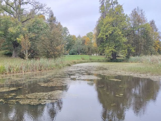Экскурсия по Грибоедовским местам. Слава русского оружия в Вязьме — фото 2