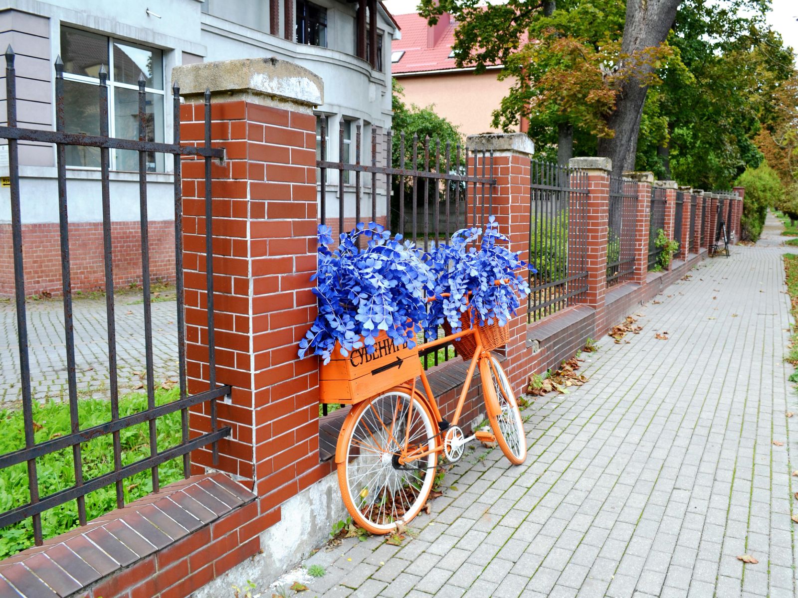 Улицы