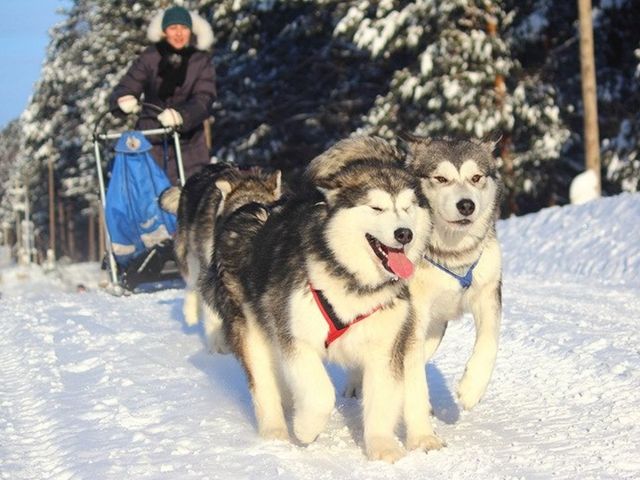 Экскурсия в Большое Голоустное: фотосессия в метановых пузырьках — фото 3