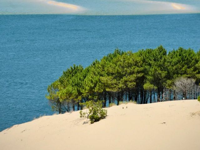 Индивидуальная обзорная экскурсия из Бордо в Аркашон — фото 2