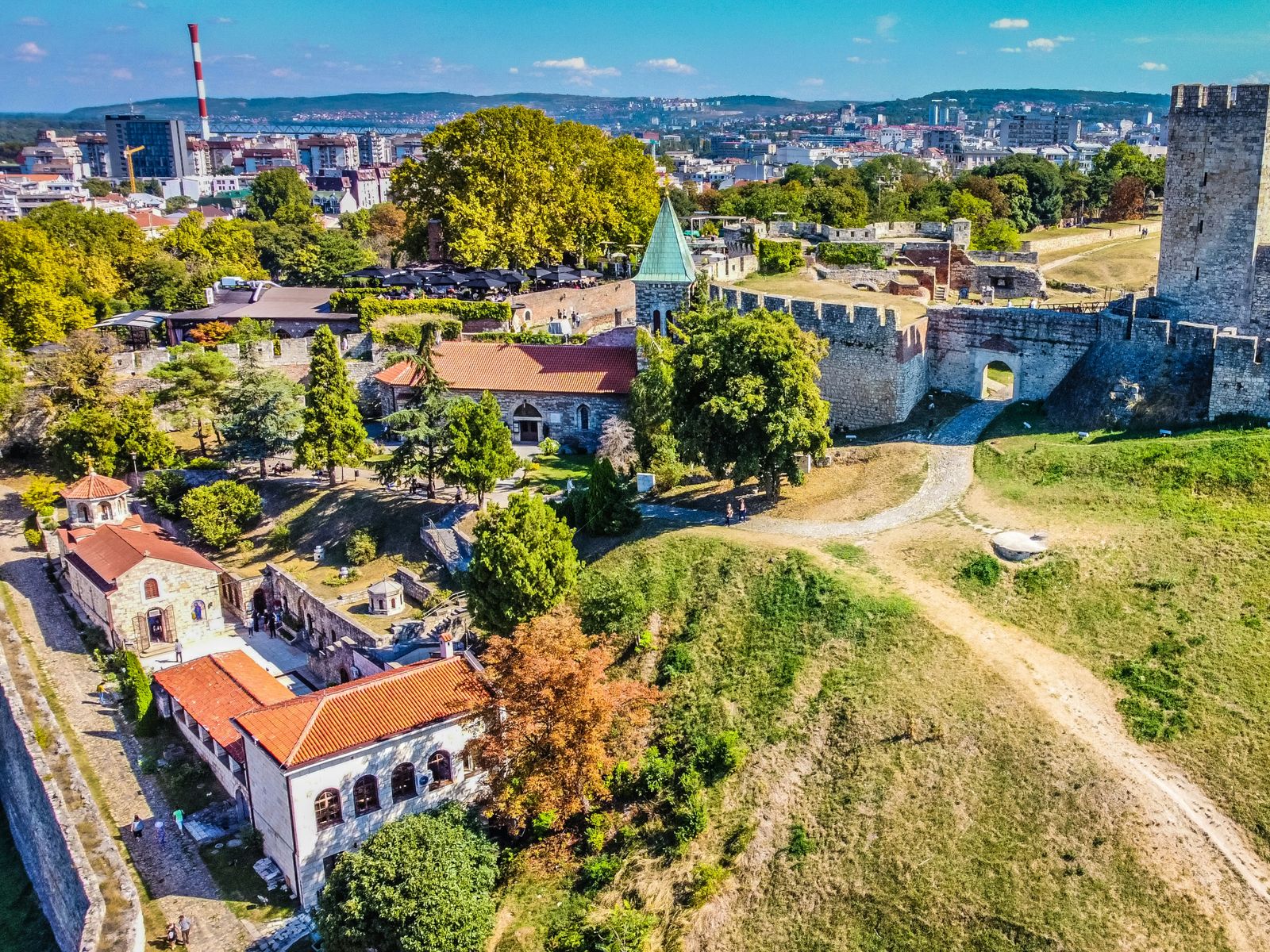Виды