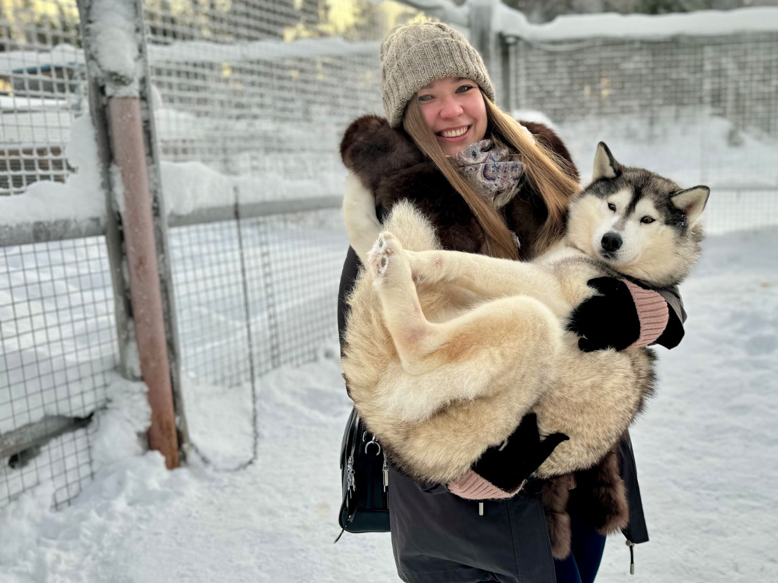 Хаски