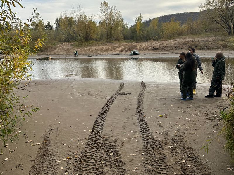 Туристы