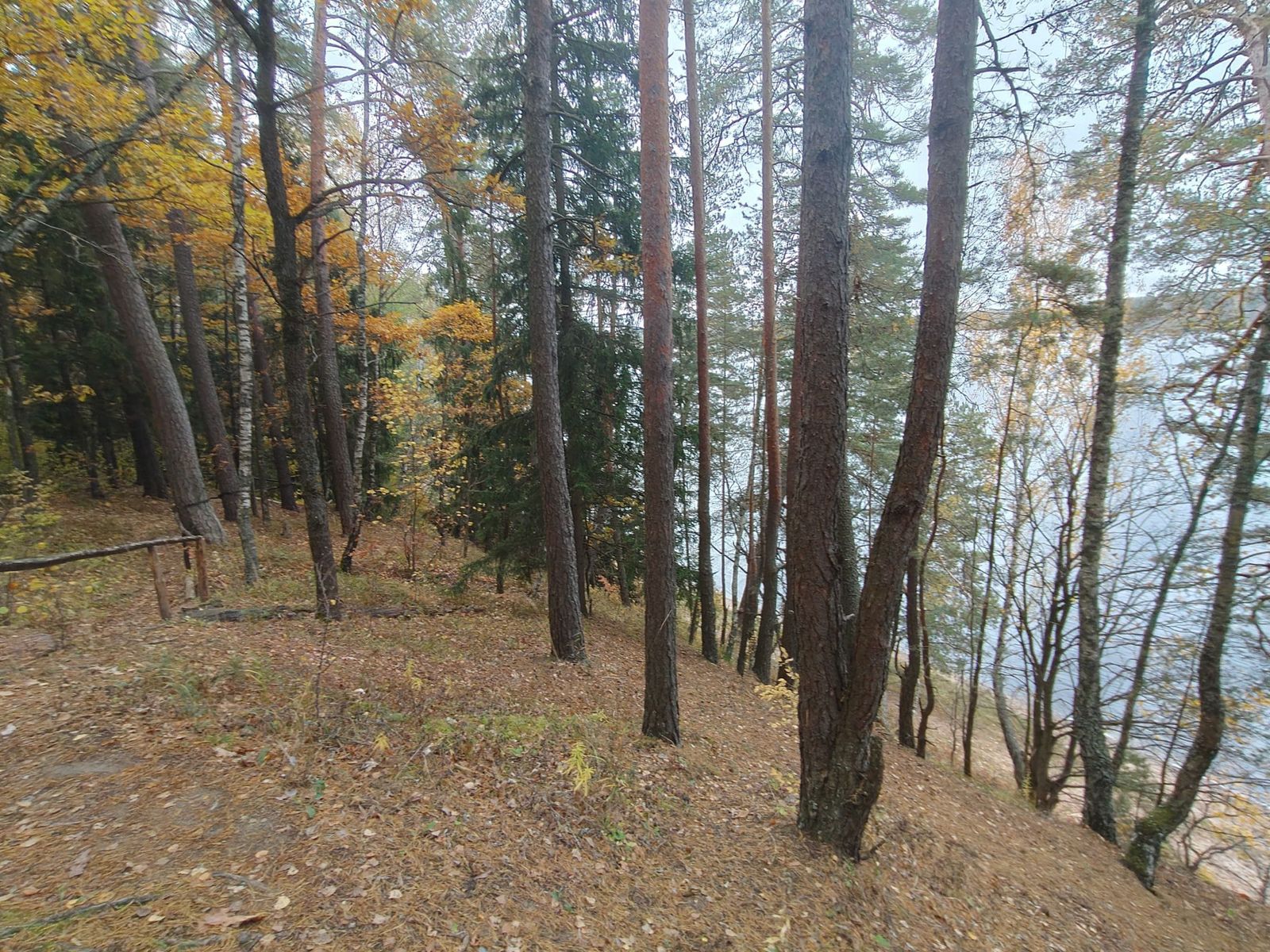 Озеро Сапшо. Берег
