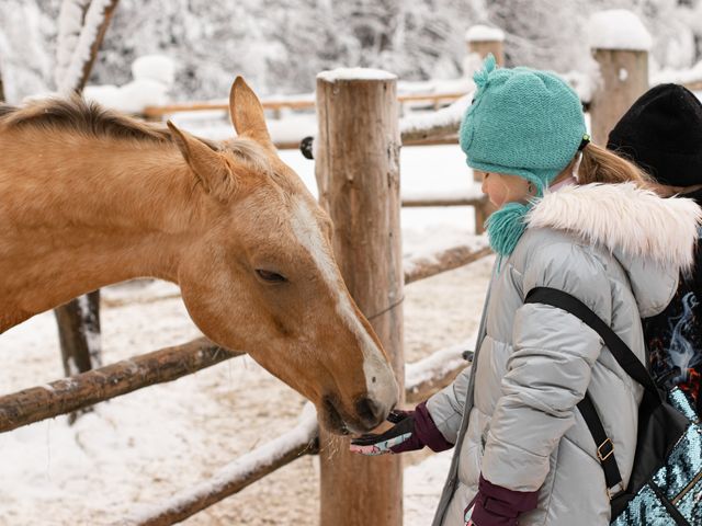 Новогодняя детская экоэкскурсия из Санкт-Петербурга к оленям — фото 2