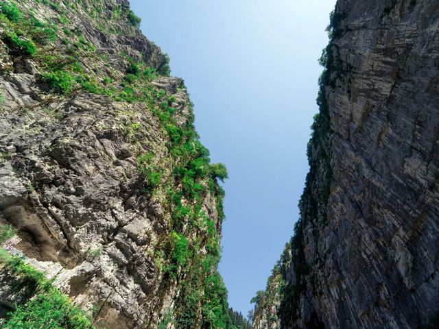 Обзорная экскурсия из Гудауты к озеру Рица — жемчужине Абхазии — фото 2
