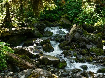 Экскурсии в Черниговке