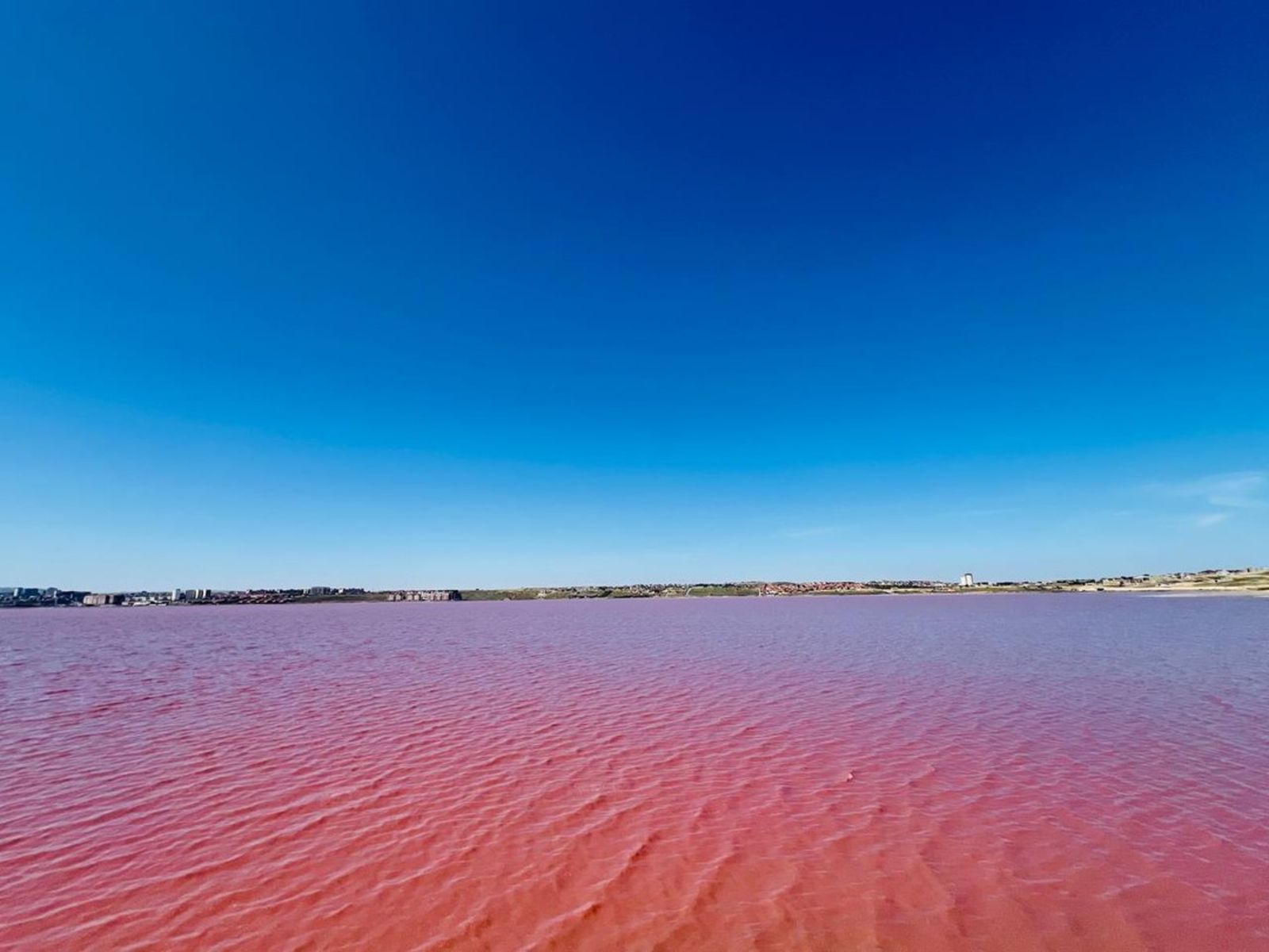 Розовое озеро