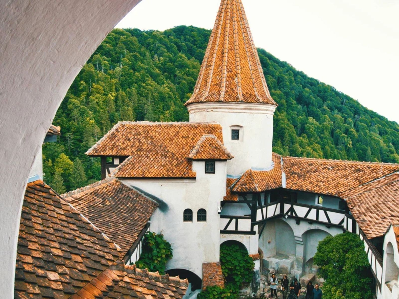 Необычный ракурс