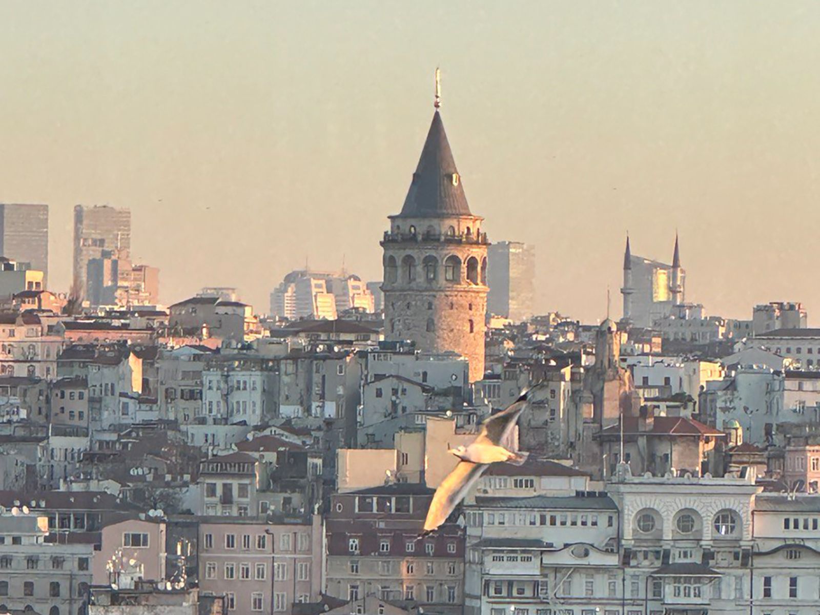 Галата