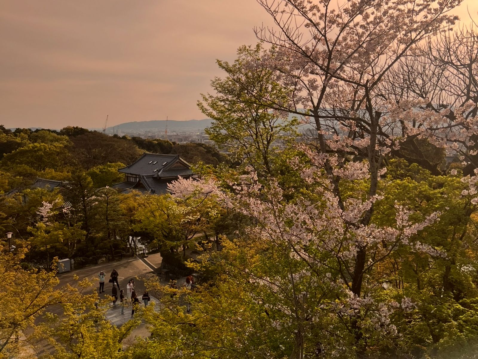 Прогулка по территории Киемидзу-дэра в лучах дневного солнца