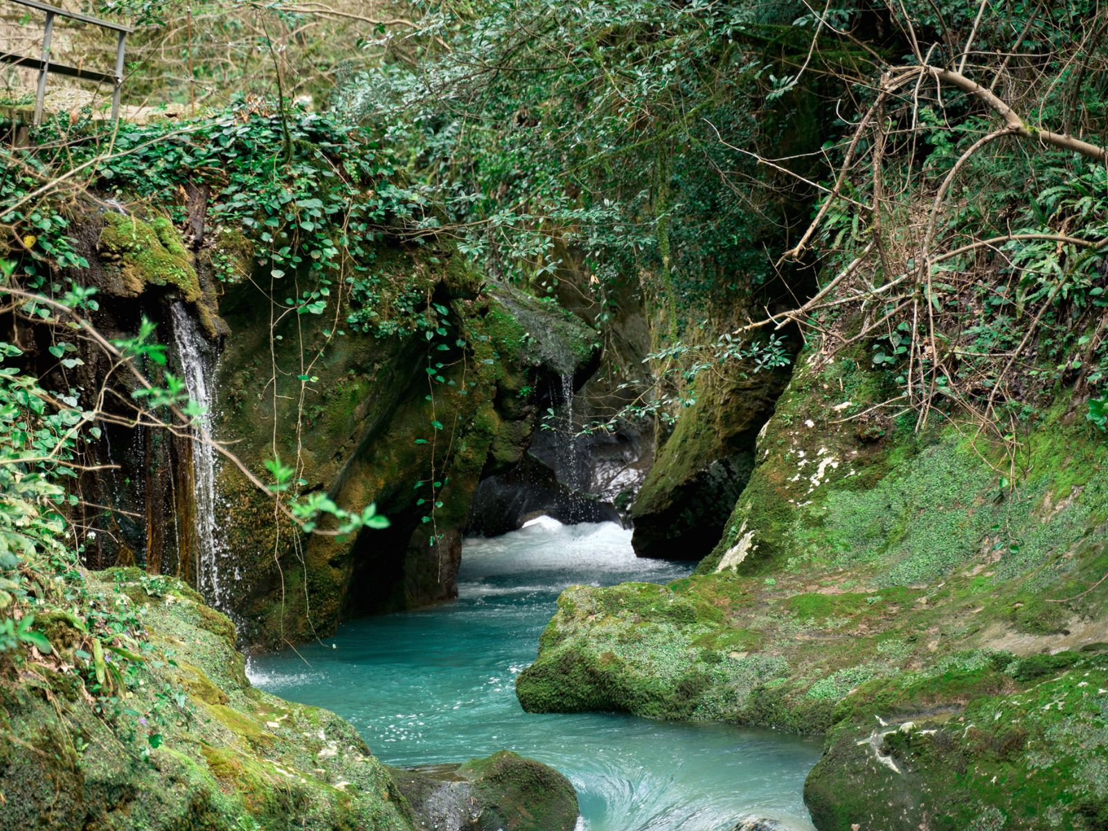 Черниговка