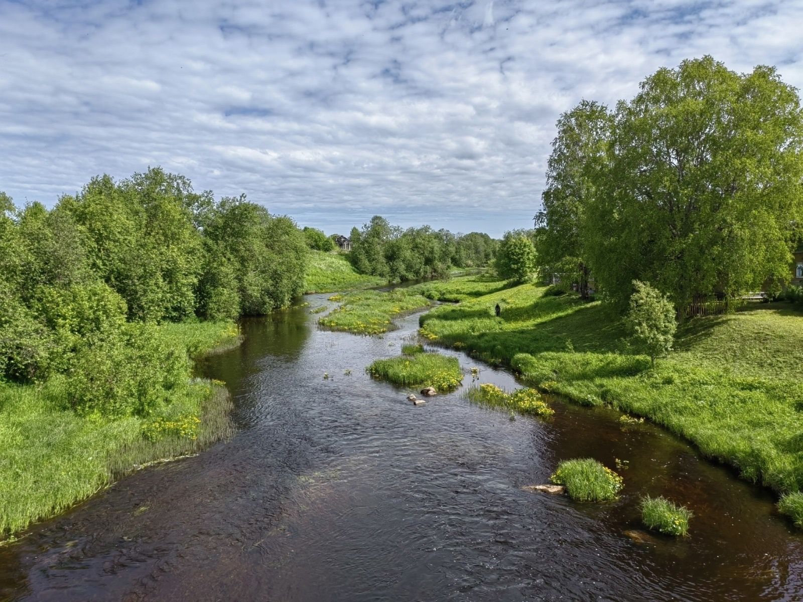 Каргопольский район