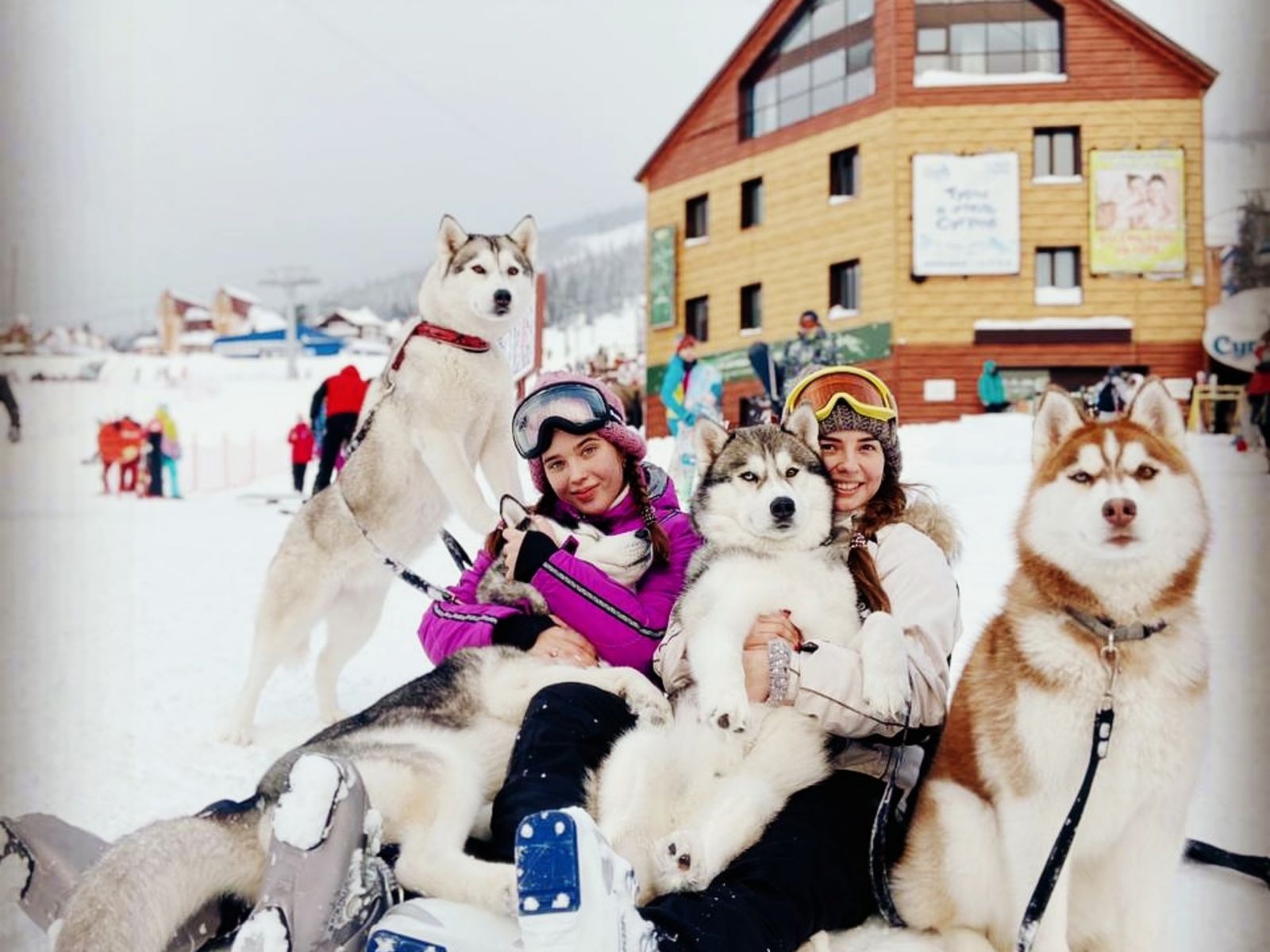 Дог-трекинг