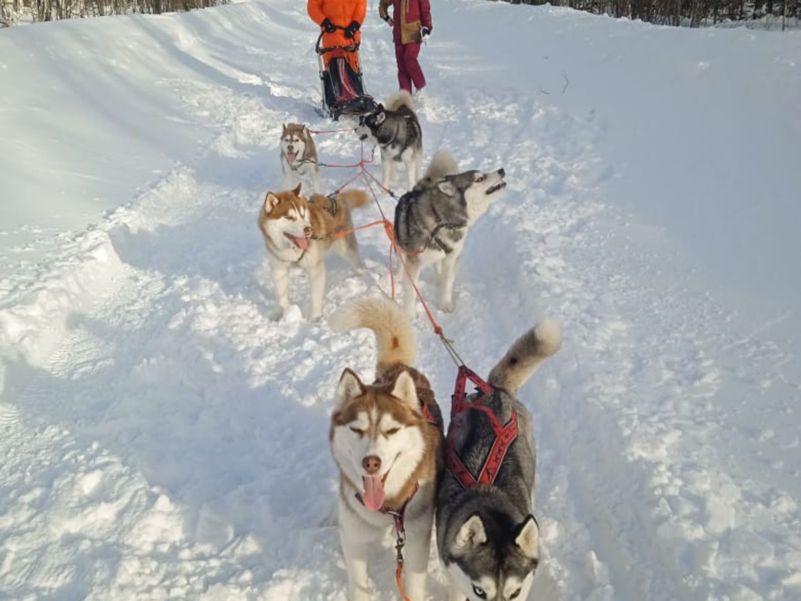 На маршруте