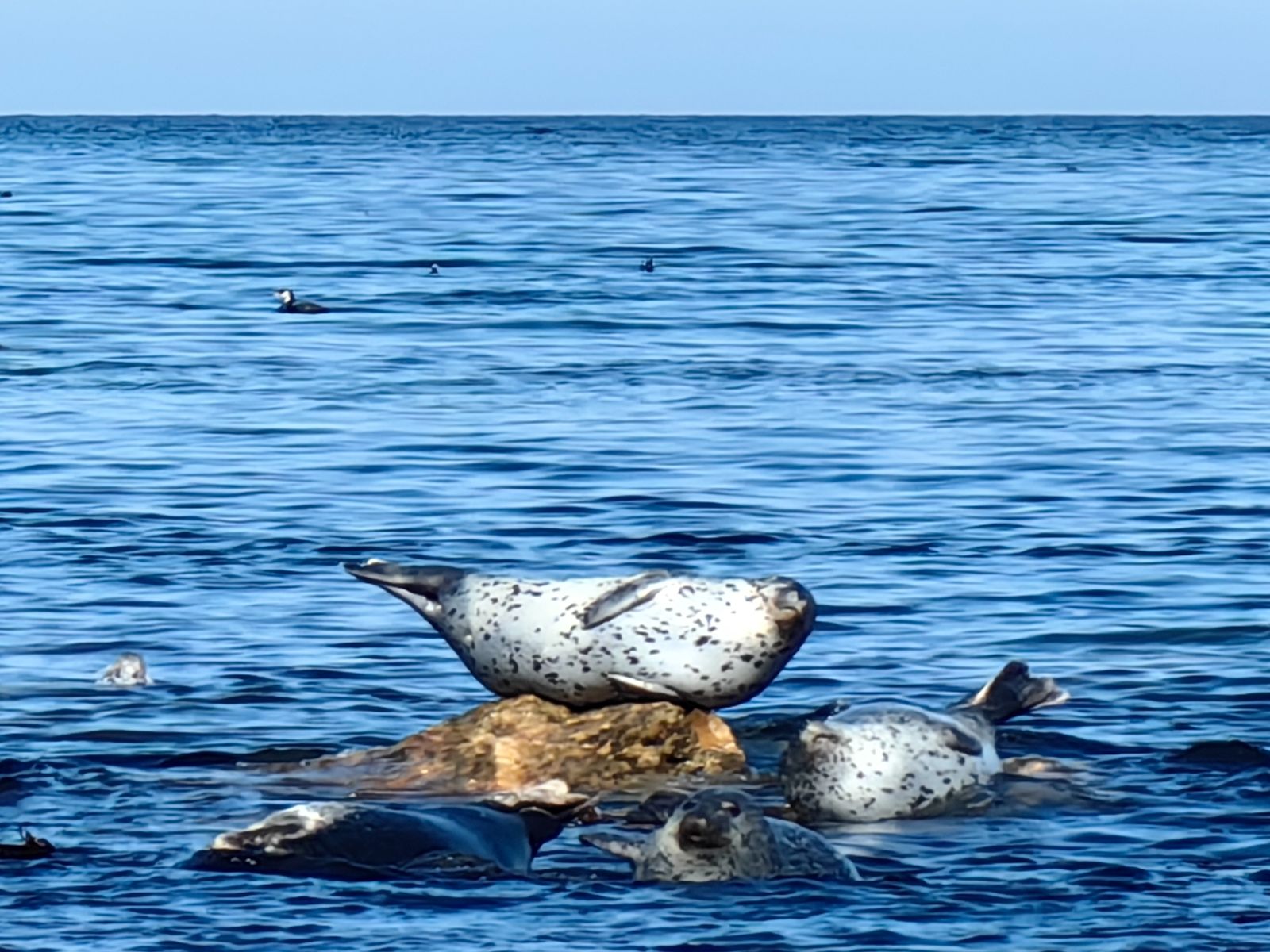 На маршруте