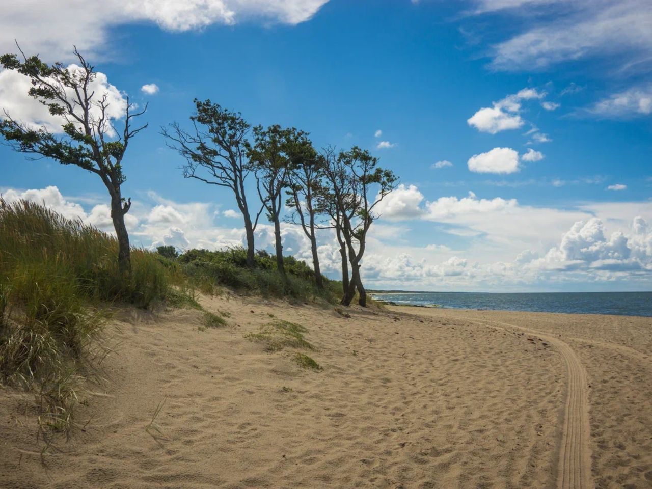Куршская коса — самый маленький национальный парк России - индивидуальная экскурсия в Калининграде на автобусе длительностью 7 часов с количеством участников до 3 человек цена экскурсии 22000₽