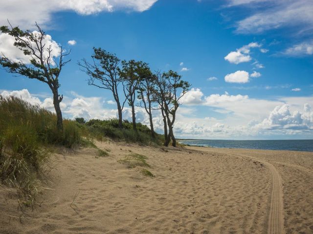 Куршская коса — самый маленький национальный парк России