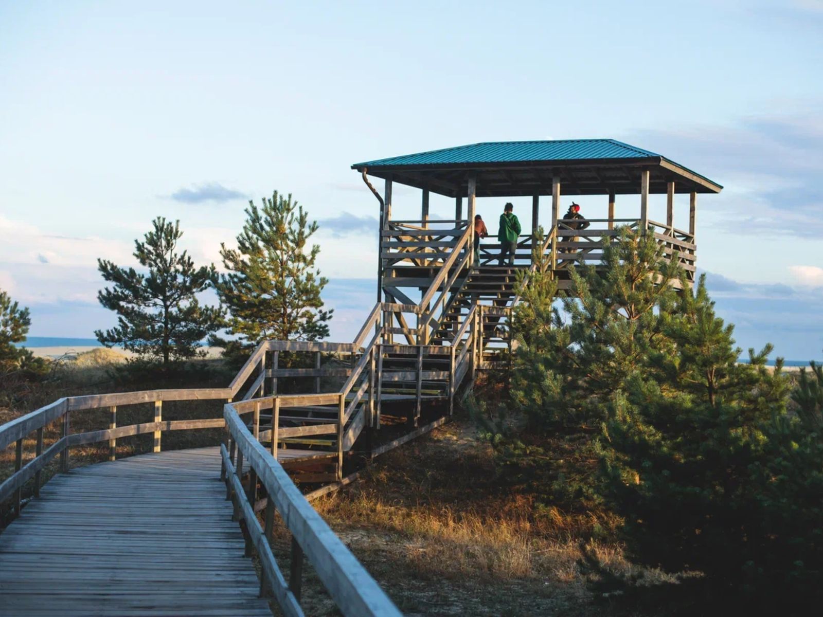 Вид на песчаные дюны